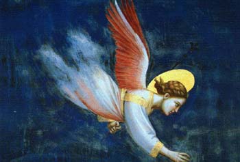 ANGEL11